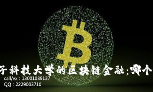 西财和电子科技大学的区块链金融：哪个更适合你？