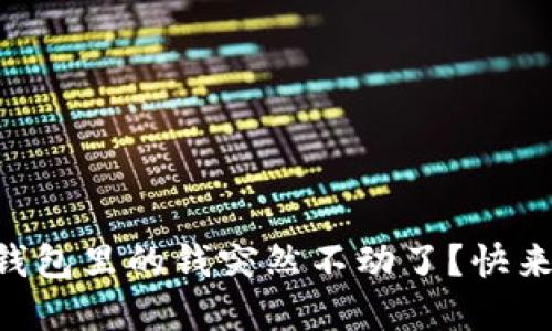 为什么我的TP钱包里的钱突然不动了？快来看看解决办法！
