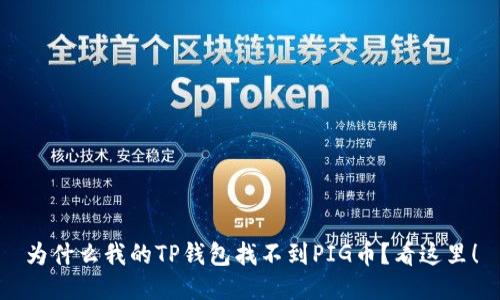 为什么我的TP钱包找不到PIG币？看这里！
