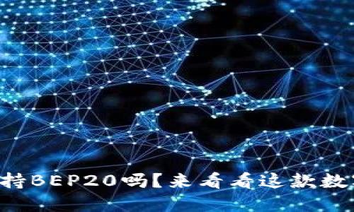 你知道TP钱包支持BEP20吗？来看看这款数字钱包的优势吧！
