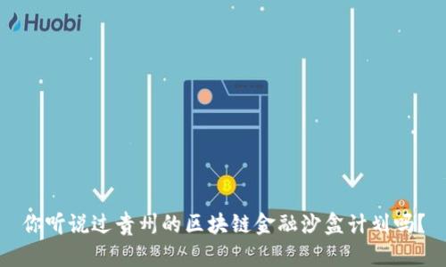 你听说过贵州的区块链金融沙盒计划吗？