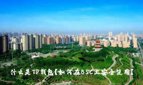 什么是TP钱包？如何在BSC上安全使用？