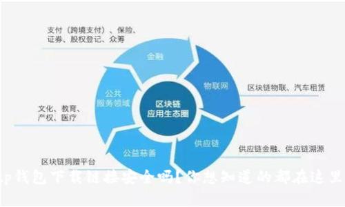tp钱包下载链接安全吗？你想知道的都在这里！