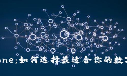 “TP钱包 RPone：如何选择最适合你的数字货币钱包？”
