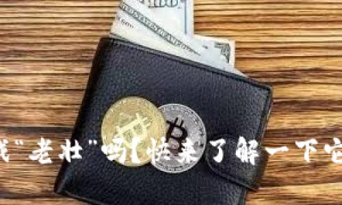 你听说过区块链游戏“老壮”吗？快来了解一下它的魅力与无限可能！