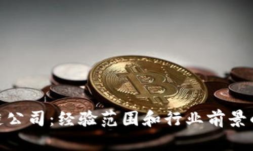 金融区块链公司：经验范围和行业前景的深入探讨