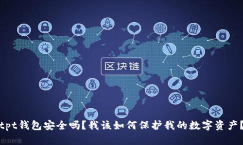 tpt钱包安全吗？我该如何保护我的数字资产？