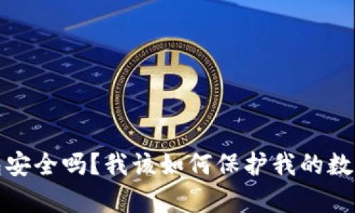 tpt钱包安全吗？我该如何保护我的数字资产？