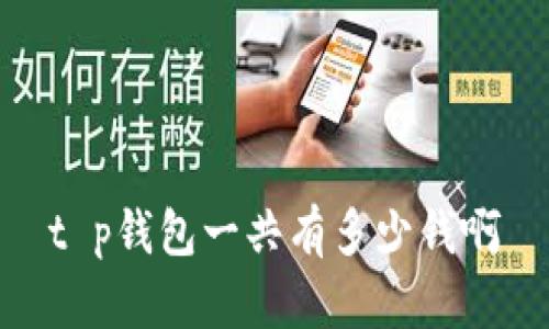 t p钱包一共有多少钱啊