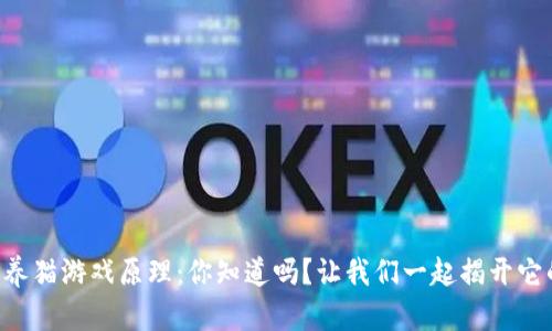 区块链技术养猫游戏原理：你知道吗？让我们一起揭开它的神秘面纱！