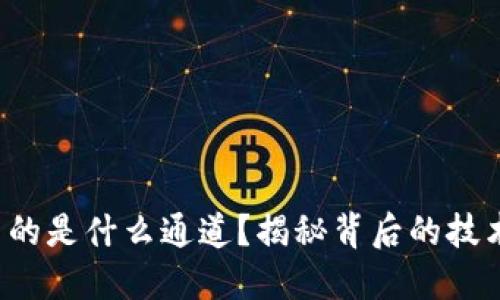 tP钱包到底用的是什么通道？揭秘背后的技术与安全保障！