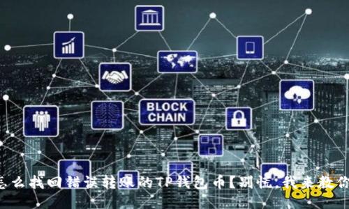 怎么找回错误转账的TP钱包币？别慌，我来教你！
